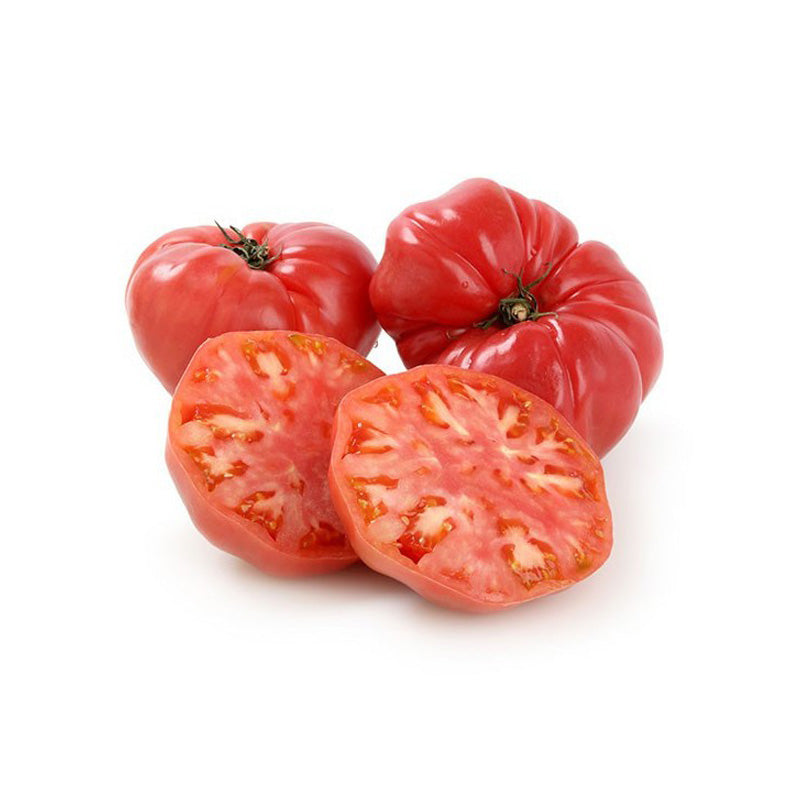 Tomatoes 5-10kg
